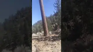 Lilly Meadows Chumash Wilderness