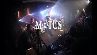 Motus, Fakofbolan, Treaviit (Močvara 1.12.2018.)