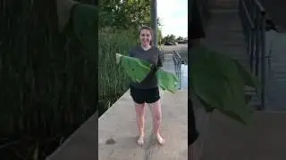 How to fix your period flow 😂