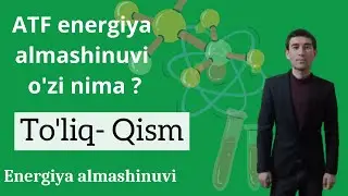 ATF   Energiya Almashinuvi   TOʻLIQ BOSQICH .  #biostudy #energiyaalmashinuvi