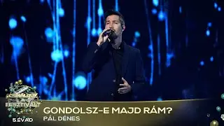 Gondolsz-e majd rám? (PÁL DÉNES) | Csináljuk a fesztivált! | ELŐDÖNTŐ | 5. ÉVAD
