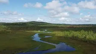 Great Meadow Stream