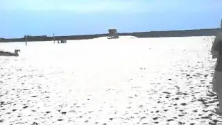 Shreadhead's 45cc OBR Twin Beach Test
