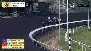 Pollo d'Oro Wins Race 2 on February 20, 2023 at Golden Gate Fields