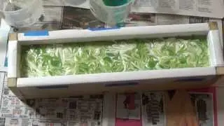 Making Apple Delight Olive Oil Vegan Silk Soap