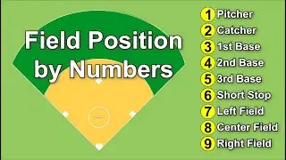 Softball Field Positions