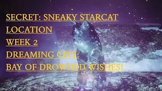 D2 Secret: Sneaky Starcat: Location Week 2: Dreaming City: Bay of Drowned Wishes!