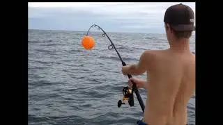 Shark Fishing with Sport-Ventures 2020
