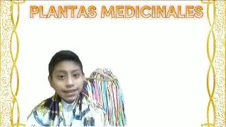 Los Kayambis 😀😀