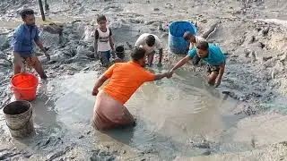 Fishing Exciting, Use A Large Capacity Pump, Catch Many Of Fish In The Lake