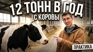 Cows eat more, but produce less milk? A vet explains why.