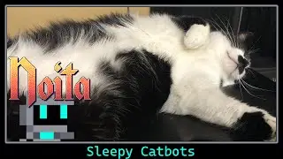 Sleepy Catbots  | Noita with the Cats