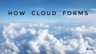 How Cloud Forms