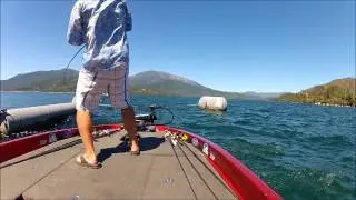 6# spot/smallie cross on Deps 250 slide swimmer