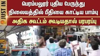 Perambalur New Bus Stand | Snake | Firefighters | Large Crowd | Additional Details