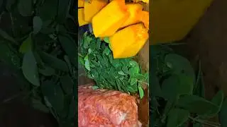 බවුවන්ට හරි කැම වෙලක් හදමු-Home  Made Best Dog Food 🍱