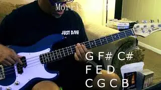 Heatwave  -The Groove Love - Bass Lesson