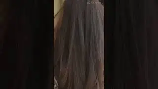 Hair Therapy Bundle | Best Organic Hair Care Products At Conatural