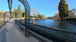 Sunny Winter Morning Walk at Coombe Abbey Park 🌞❄️ | Peaceful Nature Walk 🇬🇧