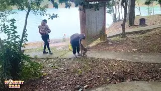 Monkey Kaka ran to greet Quynh, Mom, and Diem who had come to visit it's