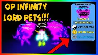 GETTING THE BEST NEW INFINITY LORD PET IN NINJA LEGENDS UPDATE! (Roblox)