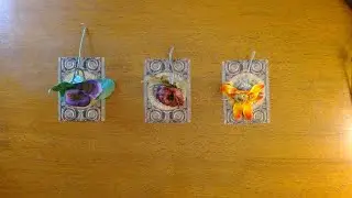 NEW CONNECTION-HOW DO THEY REALLY FEEL *Pick a card*