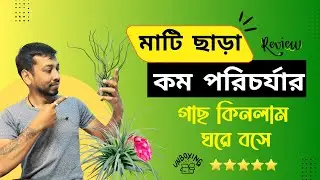 মাটি ছাড়া কম পরিচর্যার গাছ কিনলাম ঘরে বসে। Air Plant : Buy Online, Unboxing & Review