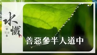【法譬如水】 善惡參半人道中 - 第510集｜水懺｜慈悲三昧水懺｜ 20260202