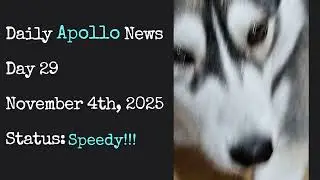 Daily Apollo News - Day 29 #furry #husky #dogbreed #dog #huskylife