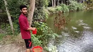 Koi mac er khaber dauyea