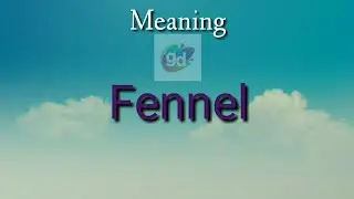 Fennel (vegetable) Meaning//Googul Dictionary//