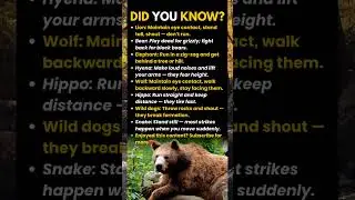 How to React When Animals Charge.