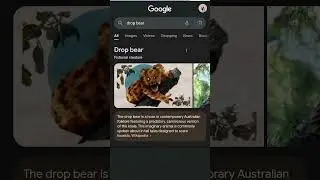 drop bear flying bear Google search magic