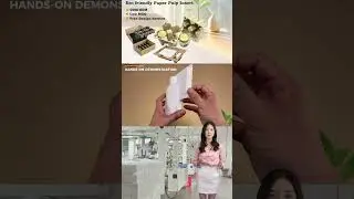 Biodegradable Custom Pulp Moulded Packaging Manufacturers