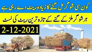 Sugarcane New Rates from Sugarcane Mills 2021 |Sugarcane New prices |Updated Sugarcane Rates 2021