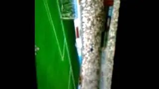 el paradon del portero 99