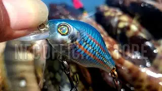 Crankbait 5,5 cm 8,5 gram Long Cast BEST KILLER ACTION
