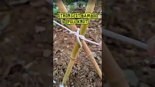 The Strongest Way to Tie Bamboo Poles!! #knot #rope #interesting #knowledge #technique
