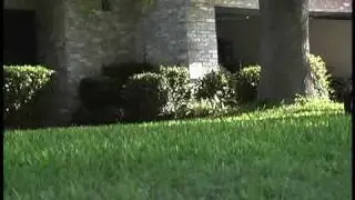 Spring Lawn Care