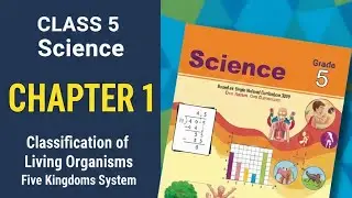 Class 5 Science Chapter 1 | Classification of Living Organisms