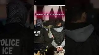 Who Decides Immigration Enforcement?