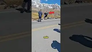 El p&aacute;jaro m&aacute;s grande del mundo