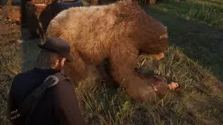 RDR2 - Bear Attack in The Camp