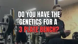 Can every guy get to a 3 plate bench press?