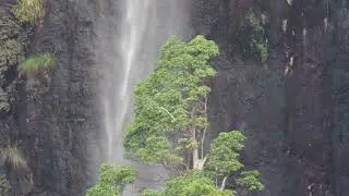 Pete The Surfaroo Adventures time to cool off Waterfalls  Springbrook