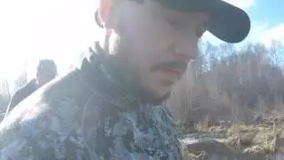Beaver shot