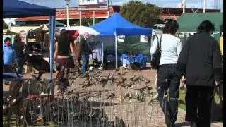 Whale Coast Route - South Africa Travel Channel 24