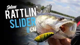 Salmo RATTLIN' SLIDER | Piotr Piskorski