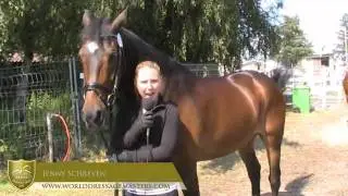 WDM Falsterbo 2011 - Jenny Schreven