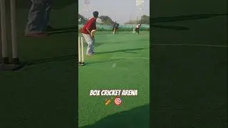 Box Cricket Arena 🏏🎯#reels #shorts #short #ytsorts #viral #shortsviral #youtube #short